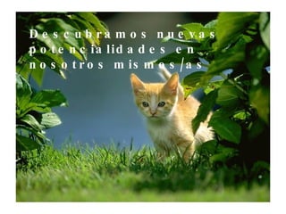 Descubramos nuevas potencialidades en nosotros mismos/as 