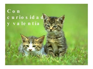 Con curiosidad y valentía 