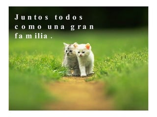 Juntos todos como una gran familia. 