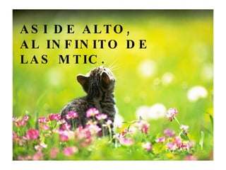 ASI DE ALTO,  AL INFINITO DE LAS MTIC. 