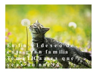 En fin, el deseo de esta gran familia TemáTICaa es que seas un nuevo miembro de ella a partir de el 2010  y que sea un suceso  extraordinario,…   