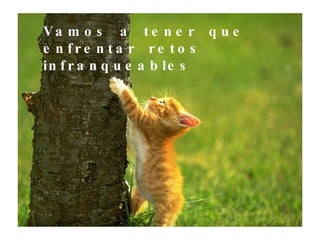 Vamos  a  tener  que  enfrentar  retos infranqueables 