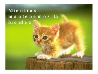 Mientras mantenemos la lucidez 