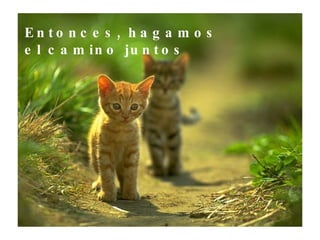 Entonces, hagamos el camino juntos 