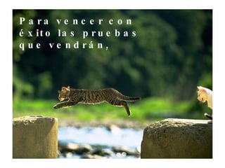 Para vencer con éxito las pruebas que vendrán, 