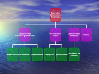 Desarrollar  Competencias lingüísticas Conocimientos Sintáctico-gramaticales Conocimientos  léxicos Conocimientos  fonéticos ortografía pronunciación Iniciación a los  fonemas Tiempos verbales Conectores Construcciones Cultura 