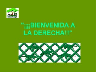 "¡¡¡BIENVENIDA A LA DERECHA !!!"     