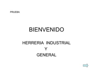 BIENVENIDO HERRERIA  INDUSTRIAL Y  GENERAL PRUEBA 