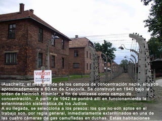 iAuschwitz, el más grande de los campos de concentración nazis, situado aproximadamente a 60 km de Cracovia. Se construyó en 1940 bajo la orden de Heinrich Himmler, a fin de utilizase como campo de concentración.  A partir de 1942 se pondrá allí en funcionamiento la exterminación sistemática de los Judíos. A su llegada, se selecciona a los presos: los que no son aptos en el trabajo son, por regla general, inmediatamente exterminados en una de las cuatro cámaras de gas camufladas en duchas. Estas habitaciones permiten exterminar varios millares de personas al día. 