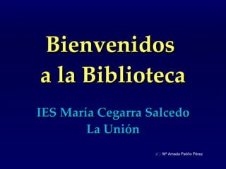Bienvenidos  a la Biblioteca IES María Cegarra Salcedo La Unión    Mª Amada Patiño Pérez   