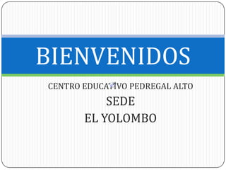 BIENVENIDOS
CENTRO EDUCATIVO PEDREGAL ALTO

SEDE
EL YOLOMBO

 