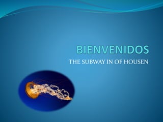 THE SUBWAY IN OF HOUSEN
 