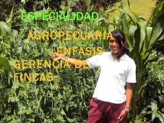AGROPECUARIA
ÉNFASIS
GERENCIA DE
FINCAS
 