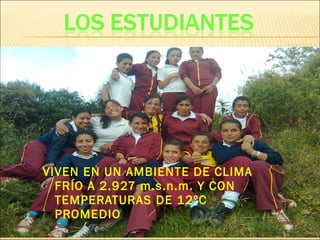 VIVEN EN UN AMBIENTE DE CLIMA
FRÍO A 2.927 m.s.n.m. Y CON
TEMPERATURAS DE 12ºC
PROMEDIO
 