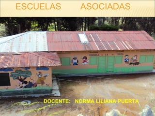 DOCENTE: NORMA LILIANA PUERTA
ECUELA LA YUCA
ESCUELAS ASOCIADAS
 