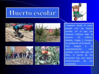 Contamos desde el curso
 Contamos desde el curso
pasado con un huerto
 pasado con un huerto
escolar, en el que los
 escolar, en el que los
alumnos realizan todo el
 alumnos realizan todo el
proceso
 proceso      de
               de    cultivo:
                      cultivo:
plantan, riegan yy recogen
 plantan, riegan     recogen
los productos de la huerta.
 los productos de la huerta.
Una
 Una imagen
          imagen oo la      la
experimentación
 experimentación         vale
                          vale
muchas veces más que un
 muchas veces más que un
libro. A través de los
 libro. A través de los
proyectos hay una mayor
 proyectos hay una mayor
interiorización
 interiorización de de los los
contenidos.
 contenidos.
 