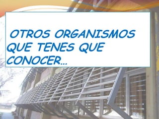 OTROS ORGANISMOS
QUE TENES QUE
CONOCER…
 
