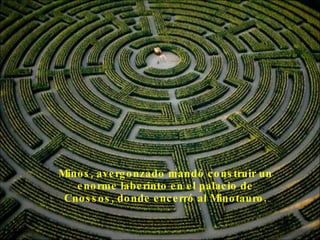 Minos, avergonzado mandó construir un enorme laberinto en el palacio de Cnossos, donde encerró al Minotauro.
