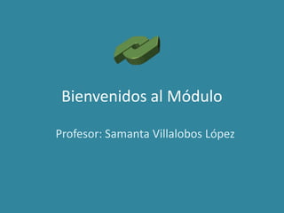 Bienvenidos al Módulo Profesor: Samanta Villalobos López 