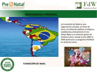La Fundación de Waal es una
organización privada, sin fines de
lucro, sin afiliación política ni religiosa,
establecida jurídicamente en los
Países Bajos y en diversos países de
América Latina. Desde el año 1985 la
FDW promueve su programa PreNatal
en América Latina.
FUNDACIÓN DE WAAL
BIENVENIDOS A PRENATAL
 