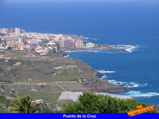 Puerto de la Cruz
 