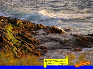 Cargar Producciones
Canelones - Uruguay
 