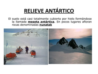 RELIEVE ANTÁRTICO E l suelo está casi totalmente cubierto por hielo  formándose la llamada  meseta antártica .  En pocos lugares afloran rocas denominadas  nunatak 