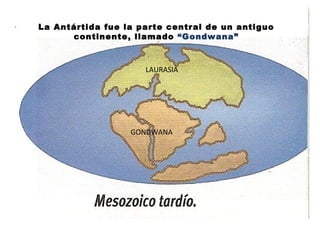 LAURASIA GONDWANA La Antártida fue la parte central de un antiguo continente, llamado  “ Gondwana” 