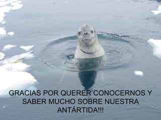 GRACIAS POR QUERER CONOCERNOS Y SABER MUCHO SOBRE NUESTRA ANTÁRTIDA!!! 