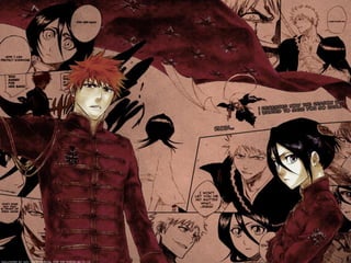 Bienvenidos a KOTACHIJA