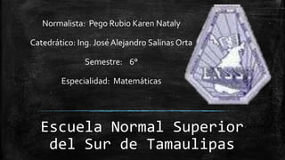 Escuela Normal Superior
del Sur de Tamaulipas
Normalista: Pego Rubio Karen Nataly
Catedrático: Ing. José Alejandro Salinas Orta
Semestre: 6°
Especialidad: Matemáticas
 