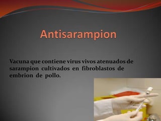 AntisarampionVacuna que contiene virus vivos atenuados de sarampion  cultivados  en  fibroblastos  de embrion  de  pollo. 