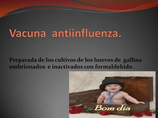 Vacuna  antiinfluenza.Preparada de los cultivos de los huevos de  gallina embrionados  e inactivados con formaldehido .
