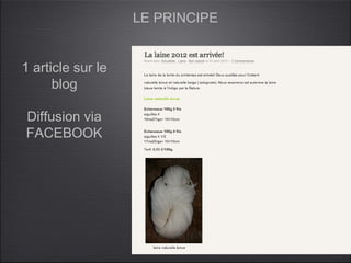 LE PRINCIPE


1 article sur le
      blog

Diffusion via
FACEBOOK
 