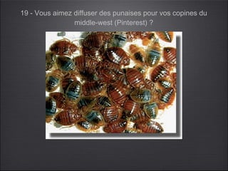 19 - Vous aimez diffuser des punaises pour vos copines du
                middle-west (Pinterest) ?
 