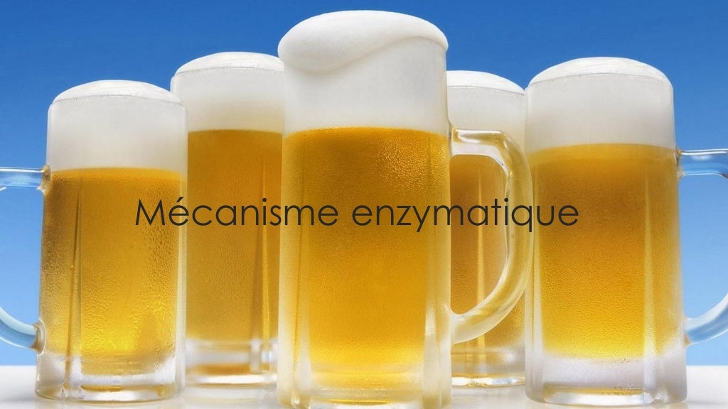 utilisation des enzyme dans l’industrie de la bière