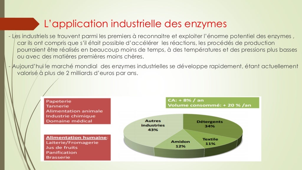utilisation des enzyme dans l’industrie de la bière