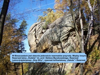 Poza BPN został utworzony Park Krajobrazowy Doliny Sanu (36 000 ha )  Oraz Ciśniańsko-Wetliński Park Krajobrazowy (46 000 ha ) W Bieszczadach jest obecnie jedenaście rezerwatów przyrody. Między innymi: Rezerwat leśny „Hulskie” im. prof. Stefana Myczkowskiego. Rezerwat  Leśno-krajobrazowy „Sine Wiry”, rezerwat torfowiskowy „Zakole” i Rezerwat  Przyrody nieożywionej „Gołoborze” 