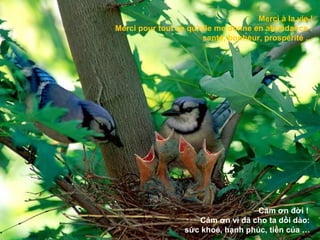 Merci à la vie !
Merci pour tout ce qu'elle me donne en abondance :
                       santé, bonheur, prospérité ...




                                    Cảm ơn đời !
                     Cảm ơn vì đã cho ta dồi dào:
                  sức khoẻ, hạnh phúc, tiền của …
 