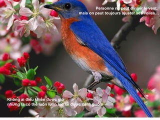 Personne ne peut diriger le vent,
                                   mais on peut toujours ajuster ses voiles…




Không ai điều khiển được gió
nhưng ta có thể luôn luôn lèo lái được cánh buồm
 