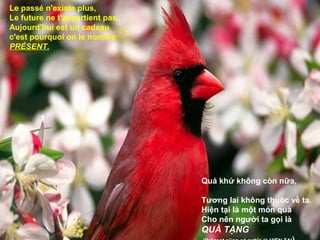 Le passé n'existe plus,
Le future ne t'appartient pas,
Aujourd'hui est un cadeau
c'est pourquoi on le nomme
PRÉSENT.




                                 Quá khứ không còn nữa,

                                 Tương lai không thuôc về ta.
                                 Hiện tại là một món quà
                                 Cho nên người ta gọi là
                                 QUÀ TẶNG
 