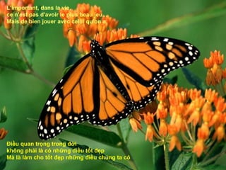L'important, dans la vie,
ce n'est pas d'avoir le plus beau jeu...
Mais de bien jouer avec celui qu'on a.




Điều quan trọng trong đời
không phải là có những điều tốt đẹp
Mà là làm cho tốt đẹp những điều chúng ta có
 