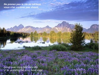 Ne prenez pas la vie au sérieux,
vous n'en sortirez pas vivant.,




Đừng quan trọng hoá cuộc đời
Vì ta sẽ không thể sống thoát được
 