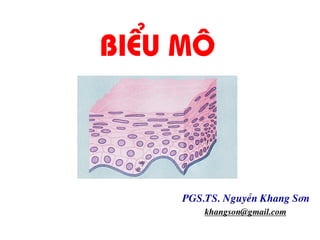 BiÓu m«
PGS.TS. NguyÔn Khang S¬n
khangson@gmail.com
 