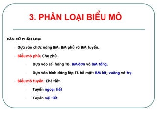 C¨n cø ph©n lo¹i:
Ø  Dùa vµo chøc n¨ng BM: BM phñ vµ BM tuyÕn.
Ø  BiÓu m« phñ: Che phñ
Ø  Dùa vµo sè hµng TB: BM ®¬n vµ BM tÇng.
Ø  Dùa vµo h×nh d¸ng líp TB bÒ mÆt: BM l¸t, vu«ng vµ trô.
Ø  BiÓu m« tuyÕn: ChÕ tiÕt
Ø  TuyÕn ngo¹i tiÕt
Ø  TuyÕn néi tiÕt
3. ph©n lo¹i biÓu m« !
 