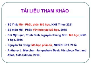 l  Bộ Y tế: Mô - Phôi, phần Mô học, NXB Y học 2021
l  Bộ môn Mô - Phôi: Vở thực tập Mô học, 2015
l  Bùi Mỹ Hạnh, Trịnh Bình, Nguyễn Khang Sơn: Mô học, NXB
Y học, 2016
l  Nguyễn Trí Dũng: Mô học phân tử, NXB KH-KT, 2014
l  Anthony L. Mescher: Junqueira's Basic Histology Text and
Atlas, 15th Edition, 2018
Tµi liÖu Tham kh¶o!
 