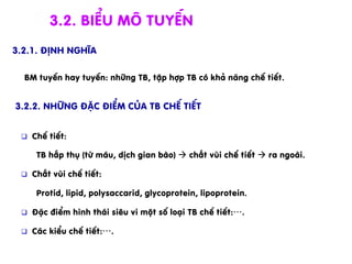 q  ChÕ tiÕt:
TB hÊp thô (tõ m¸u, dÞch gian bµo) à chÊt vïi chÕ tiÕt à ra ngoµi.
q  ChÊt vïi chÕ tiÕt:
Protid, lipid, polysaccarid, glycoprotein, lipoprotein.
q  §Æc ®iÓm h×nh th¸i siªu vi mét sè lo¹i TB chÕ tiÕt:….
q  C¸c kiÓu chÕ tiÕt:….
3.2. BiÓu m« tuyÕn
3.2.1. §Þnh nghÜa
BM tuyÕn hay tuyÕn: nh÷ng TB, tËp hîp TB cã kh¶ n¨ng chÕ tiÕt.
3.2.2. Nh÷ng ®Æc ®iÓm cña TB chÕ tiÕt
 
