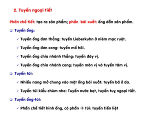 PhÇn chÕ tiÕt: t¹o ra s¶n phÈm; phÇn bµi xuÊt: èng dÉn s¶n phÈm.
q  TuyÕn èng:
ü  TuyÕn èng ®¬n th¼ng: tuyÕn Lieberkuhn ë niªm m¹c ruét.
ü  TuyÕn èng ®¬n cong: tuyÕn må h«i.
ü  TuyÕn èng chia nh¸nh th¼ng: tuyÕn ®¸y vÞ.
ü  TuyÕn èng chia nh¸nh cong: tuyÕn m«n vÞ vµ tuyÕn t©m vÞ.
q  TuyÕn tói:
ü  NhiÒu nang më chung vµo mét èng bµi xuÊt: tuyÕn b· ë da.
ü  TuyÕn tói kiÓu chïm nho: TuyÕn n­íc bät, tuyÕn tuþ ngo¹i tiÕt.
q  TuyÕn èng-tói:
ü  PhÇn chÕ tiÕt h×nh èng, cã phÇn à tói: tuyÕn tiÒn liÖt
2. TuyÕn ngo¹i tiÕt
 
