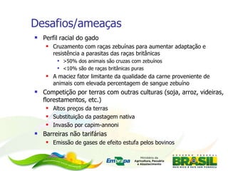 Desafios/ameaças Perfil racial do gado Cruzamento com raças zebuínas para aumentar adaptação e resistência a parasitas das raças britânicas  >50% dos animais são cruzas com zebuínos <10% são de raças britânicas puras  A maciez fator limitante da qualidade da carne proveniente de animais com elevada percentagem de sangue zebuíno Competição por terras com outras culturas (soja, arroz, videiras, florestamentos, etc.) Altos preços da terras Substituição da pastagem nativa Invasão por capim-annoni Barreiras não tarifárias Emissão de gases de efeito estufa pelos bovinos 