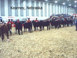 Kearney, Nebraska 